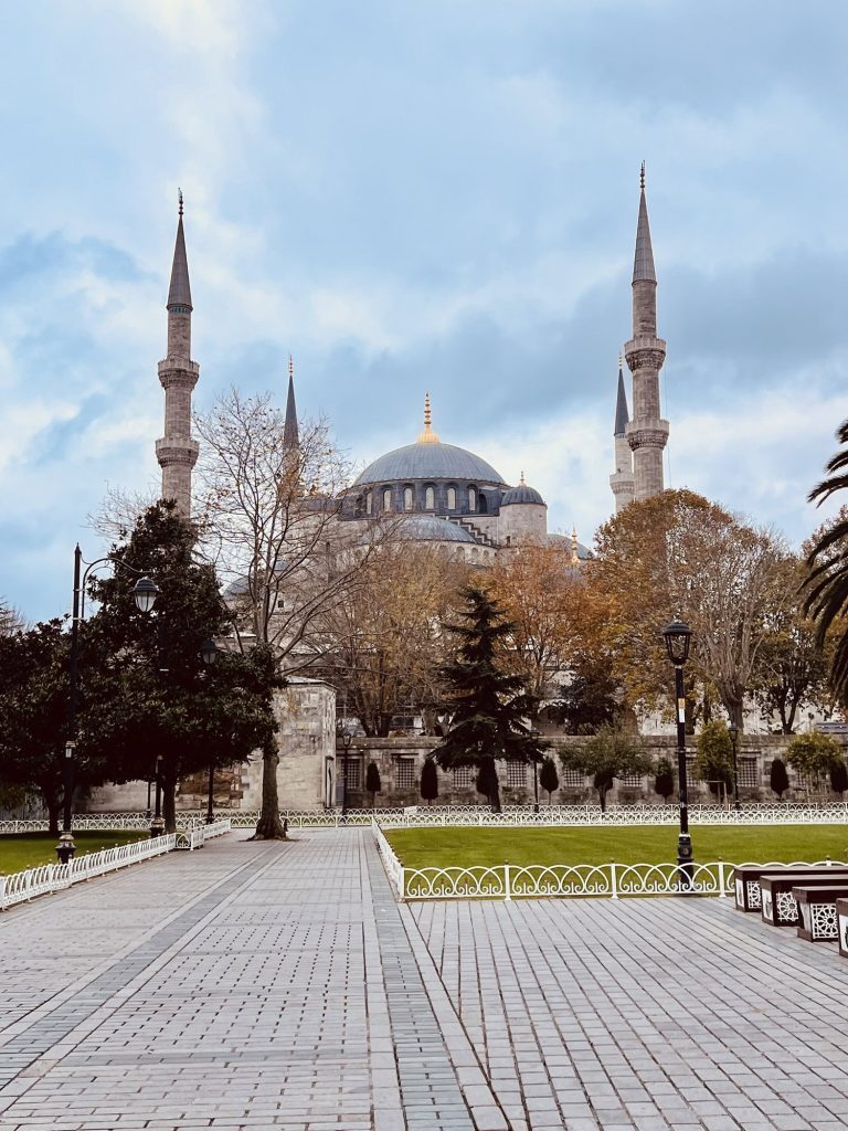 Hagia Sophia Mosque with its iconic domes and minarets in Istanbul, Turkey, surrounded by trees.