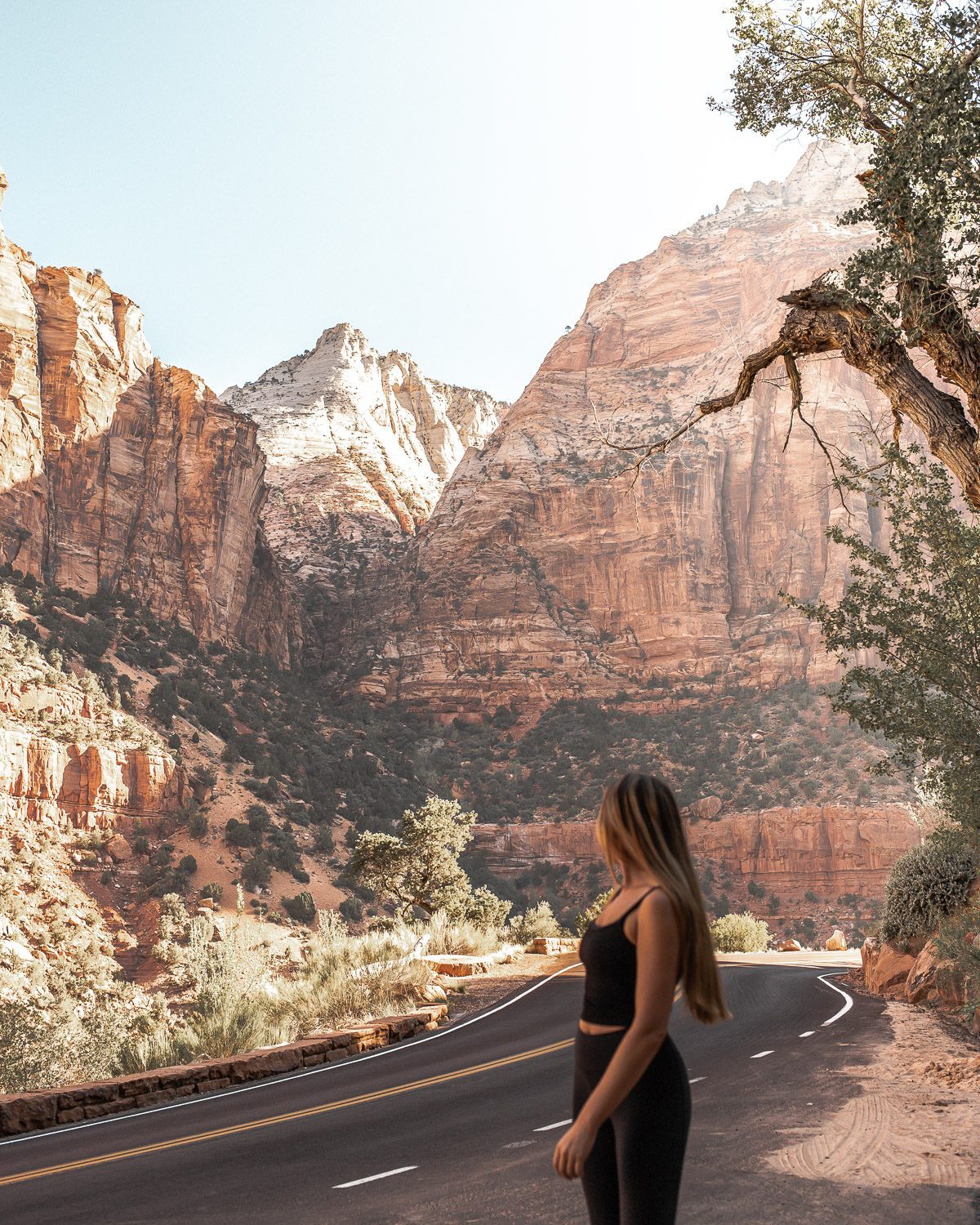Scenic national park landscape representing strategic travel while working full time
