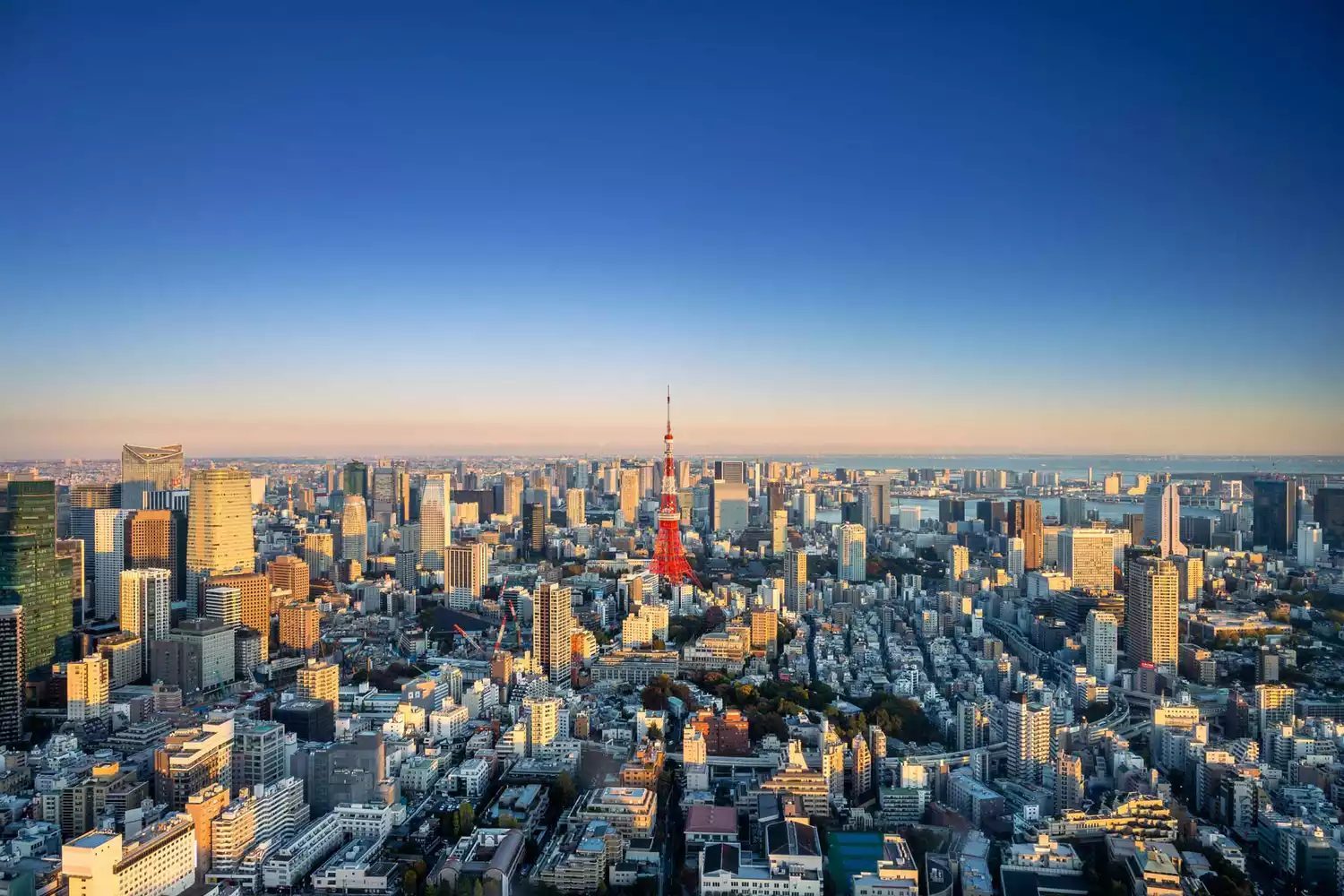 Aerial view of Tokyo skyline at sunset, showing how dense and busy the city can feel during peak seasons