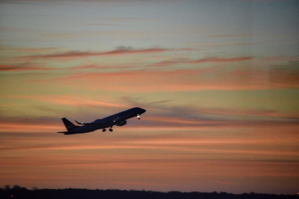 Morning flight taking off at dawn