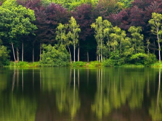 Avoid Costly Bank and ATM Fees When Abroad