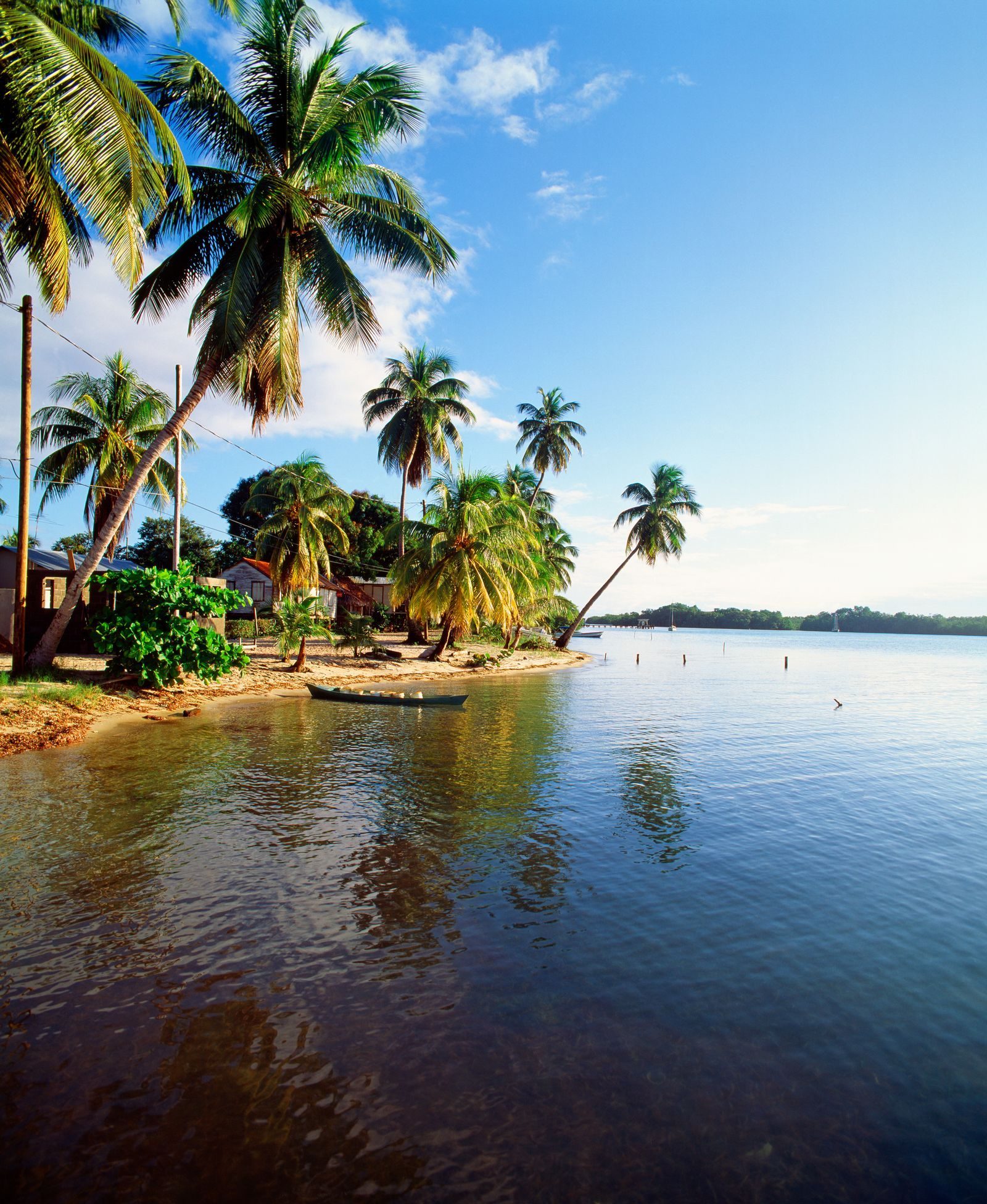 Tropical coastal scenery with boats and palm trees