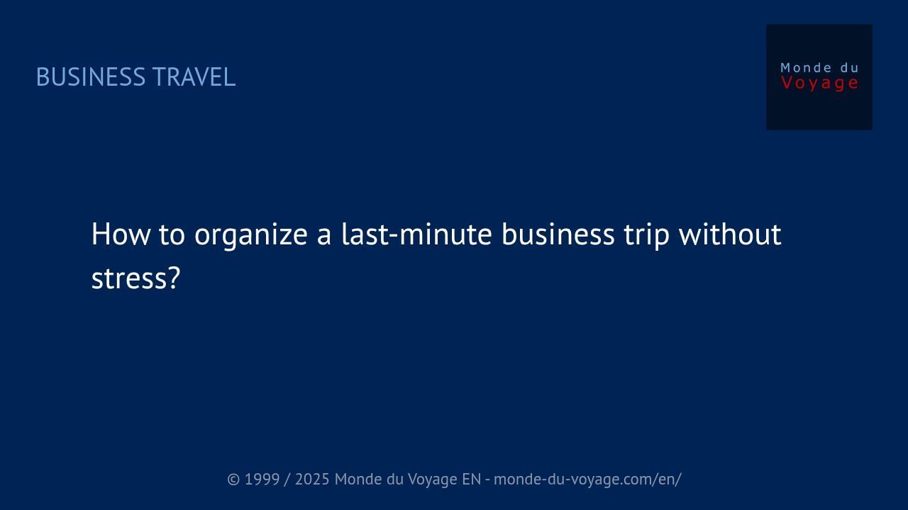 Business traveler managing last-minute changes while staying calm