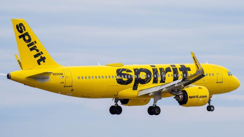 Spirit Airlines airplane on landing approach, representing low-cost carriers