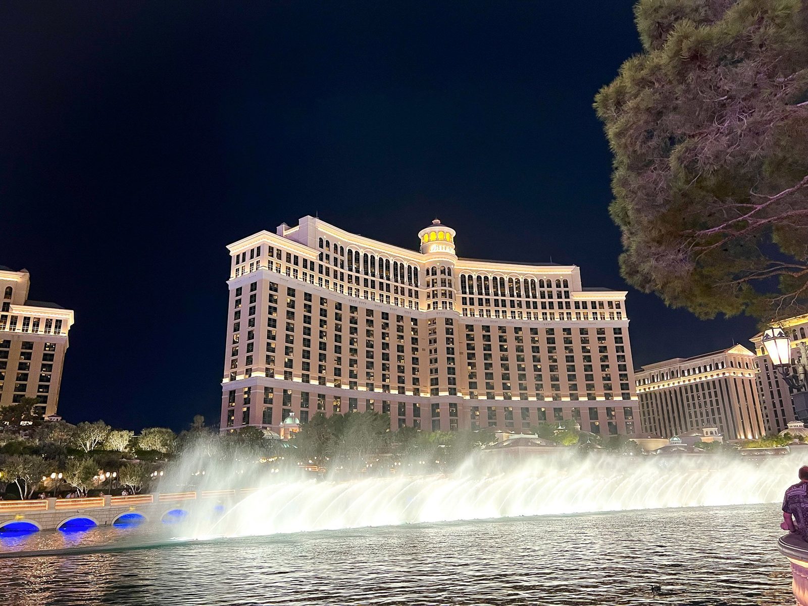 Bellagio fountains at night