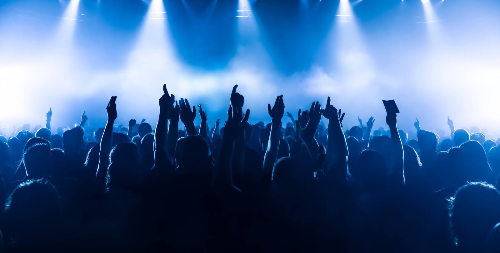 people at a concert