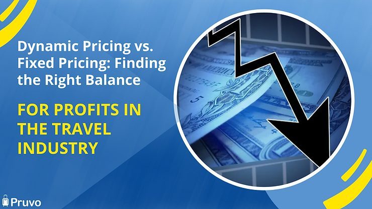 Dynamic Pricing vs. Fixed Pricing graphic for the travel industry