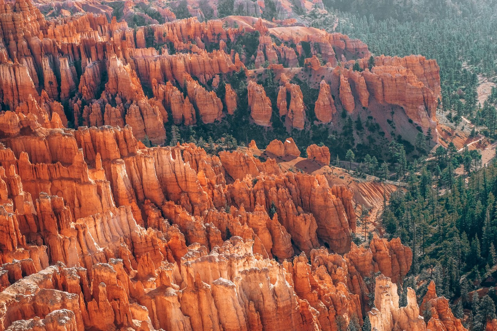 Quiet off-season street with local shops open