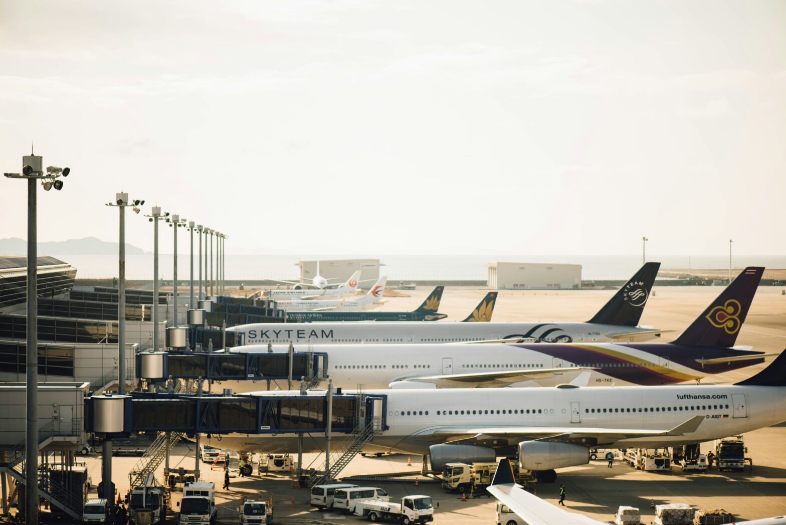 Airplanes docked at an airline during peak travel season