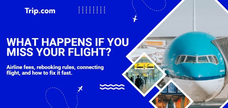 Illustration explaining what happens if you miss your flight