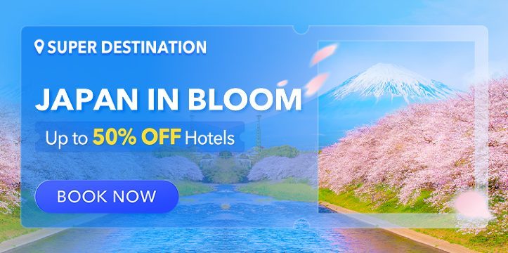 Separate vs through tickets: cost, risk and timing