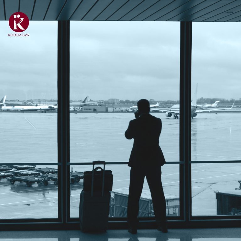 Overcoming visa application delays and backlogs with professional help